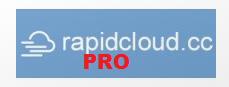 Rapidcloud CC PRO 30 Days 125 GB Traffic